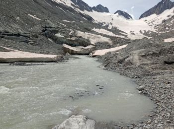 Tour Wandern Guttannen - glacier d'Oberaarhon - Photo