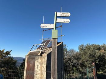 Randonnée Marche Cuers - Barres de Cuers depuis La Foux - Photo