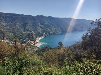 Excursión Senderismo Levanto - Levanto - Monterosso 4.5.23 - Photo