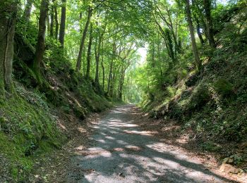 Tour Wandern Fontrieu - Bout du petit train  - Photo