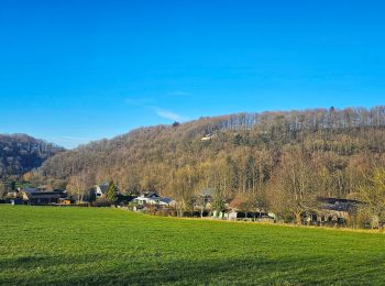 Tocht Stappen Assesse - Balade à Crupet  - Photo