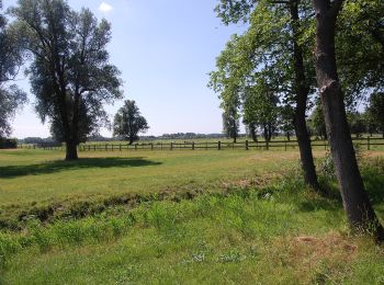 Randonnée A pied Wassenaar - Rood - Photo