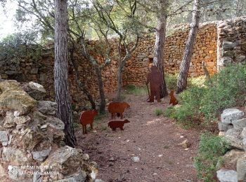 Tocht Stappen Tournissan - 11 les terres rouges 01/10/23 - Photo