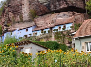 Randonnée Randonnée équestre Ernolsheim-lès-Saverne - 2019-10-10 Rando CVA Ernolsheim vers Moderfeld - Photo