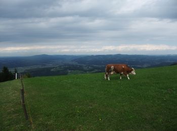 Randonnée A pied Podvelka - Za srce (Kapla) - Photo