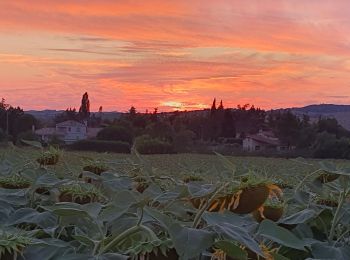 Tour Wandern Lasserre-Pradère - LASSERE-PRADERE rando nocturne  - Photo