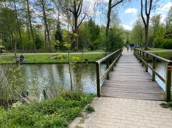 Tour Wandern Mechelen - Malines ouest 18,3 km - Photo