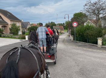 Tocht Huifkarwandeling Herbéviller - Herbeviller rando  Equiplaine 12/08/23 - Photo