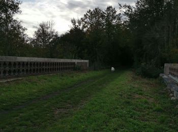 Randonnée Marche Saint-Rémy-Boscrocourt - St Remy bosc rocourt eu  - Photo