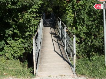 Percorso A piedi Liestal - Augst-Rankhof-Büchlihau- Chapf - Photo