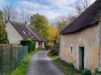 Randonnée Marche Berd'huis - Berd'huis - Préaux-du-Perche 4,1 km - Photo