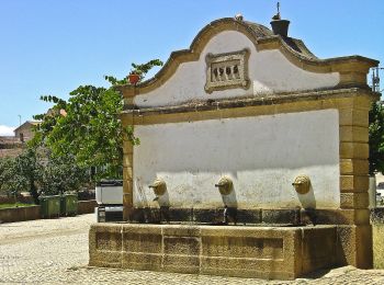 Percorso A piedi Izeda, Calvelhe e Paradinha Nova - Entre as ribeiras da Veiga e de Vilalva, à descoberta dos olivais - Photo