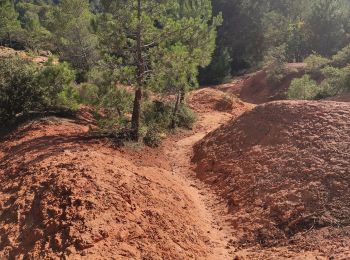 Trail Walking Roussillon - rando 1 Roussillon - Photo