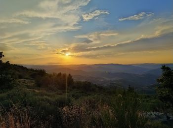 Tour Wandern Saint-Vincent-de-Durfort - Randonnée nocturne aux Croix de Gruas - Photo