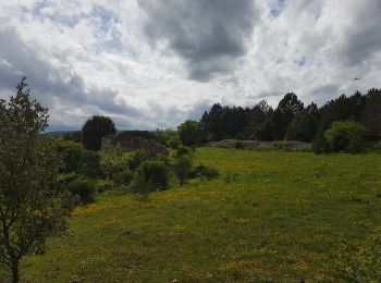 Tocht Noords wandelen Lodève - Lodève Fontbonne Grézac 12 mai 2021 - Photo