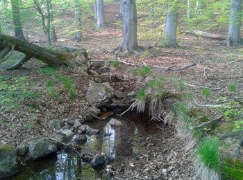 Percorso A piedi Quedlinburg - Grüner Balken Gernrode Bremer Teich Selketal - Photo