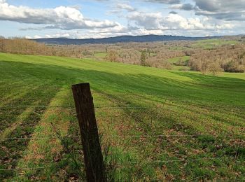 Randonnée Marche Saint-Vitte-sur-Briance - saint vitte sur briance-les monts - Photo