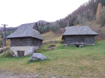 Tocht Te voet okres Ružomberok - Švošovský Turisticko-Náučný chodník - Photo