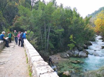 Tocht Stappen Saint-Cézaire-sur-Siagne - St Cesaire gorges de la Siagne - Photo