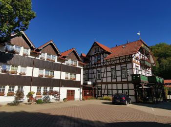 Tour Zu Fuß Wernigerode - DE-gelber Punkt - Photo