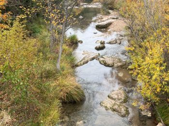 Tour Wandern Tourves - Caramy antoine - Photo