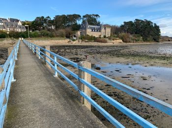 Tour Wandern Ploumoguer - Blanc sablons - Photo