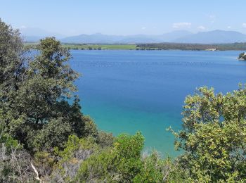 Excursión Senderismo Aléria - mer-etang de diane aleria - Photo