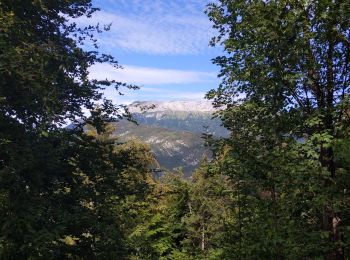 Tocht Stappen Annecy - Belvédère mont Baron - Photo