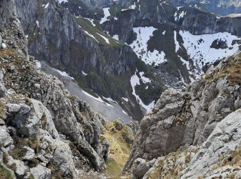 Tour Wandern Bernex - DENT D'OCHE ET LAC D'ARBON - Photo