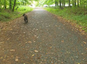 Excursión Senderismo Montfiquet - cerisy la forêt 5km - Photo