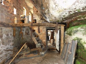 Percorso A piedi Eschbourg - Chemin des Fontaines - Photo