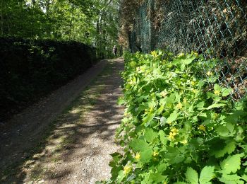 Tour Zu Fuß Chaumont-Gistoux - #200506 - Gistoux, Bonlez, Sentier du Champ des Goffes, Bloquia **** - Photo