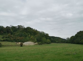 Randonnée Marche Petit-Caux - bois de pumont mahomet - Photo