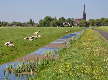 Tour Zu Fuß Zoeterwoude - Balkengatroute - Photo