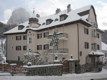 Trail On foot Santa Cristina Gherdëina - St. Christina in Gröden - Santa Cristina Valgardena - Raida dl luech - Photo