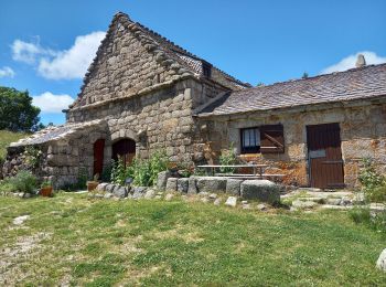 Tour Wandern Pont de Montvert - Sud Mont Lozère - Sources du Tarn - Photo