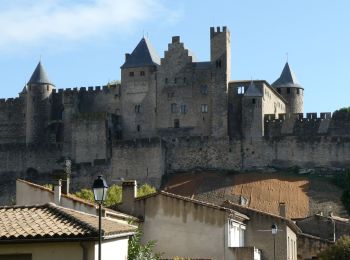 Percorso A piedi Karkasonas - Bord de l'Aude + Cité 01 - Photo