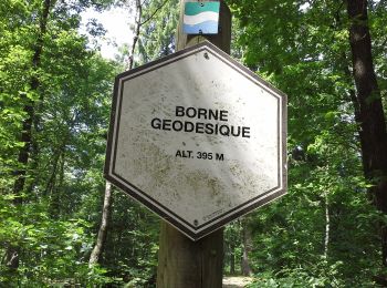 Excursión A pie Érezée - Refuge (13) - Photo