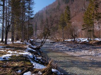 Randonnée A pied Klaus an der Pyhrnbahn - Wanderweg 433 - Photo