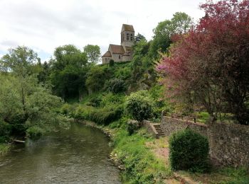 Trail Walking Saint-Léonard-des-Bois - Saint-Léonard-des-Bois - Saint-Céneri-le-Gérei - 20.4km 545m 4h55 (55mn) - 2018 05 10 - Photo