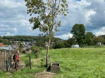 Tocht Stappen Voeren - Fouron le comte - Photo