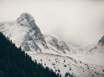 Tocht Te voet Onbekend - Fosta Cabană Urlea - Vf. Urlea - creasta principală - Photo