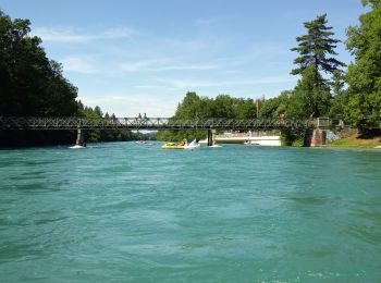 Percorso Canoa - kayak Uttigen - Aare - Photo