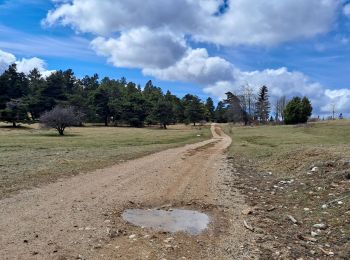 Tour Wandern Sigottier - Le Duffre - Photo