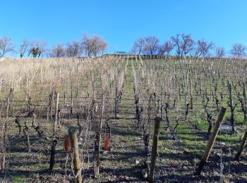 Randonnée Marche Mittelwihr - Les perles du vignoble  : Mittelwihr - Beblenheim - Zellenberg - Hunawihr - Riquewihr. - Photo