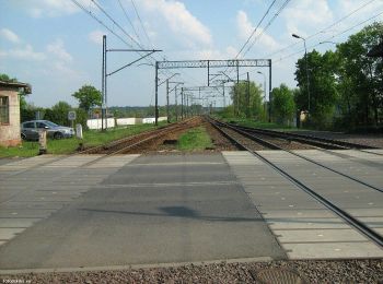 Percorso A piedi Orzeszków - Oborniki Śl.- Orzeszków - Photo