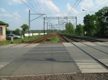 Tocht Te voet Orzeszków - Oborniki Śl.- Orzeszków - Photo