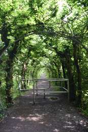 Trail Walking Theux - 20210621 - La Charmille 9.6 Km - Photo