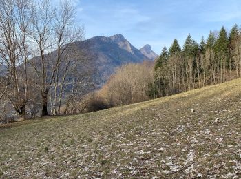 Excursión Senderismo Aillon-le-Jeune - Petit circuit découverte aillon le jeune - Photo