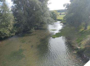 Tour Mountainbike Chablis - Tacot de l'yonne le long du Serein - Photo